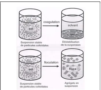 Figure 1-2. Processus de coagulation/floculation Tiré de Mottot, (2000)