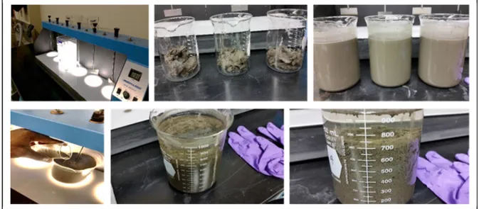 Figure 2-7. Essais de « Jar test » 