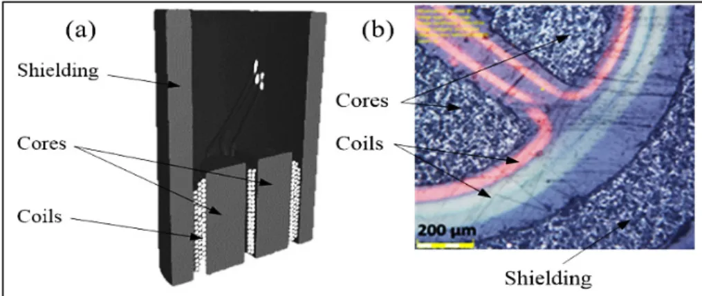 Figure 2.1 (a) 3-D model of the split-D probe showing coils, cores  and magnetic shielding (b) zoom on the probe’s tip taken with a  confocal optical microscope