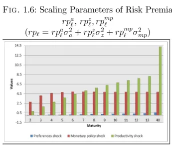 Fig. 1.6: Scaling Parameters of Risk Premia rp a ` ; rp z` ; rp mp`