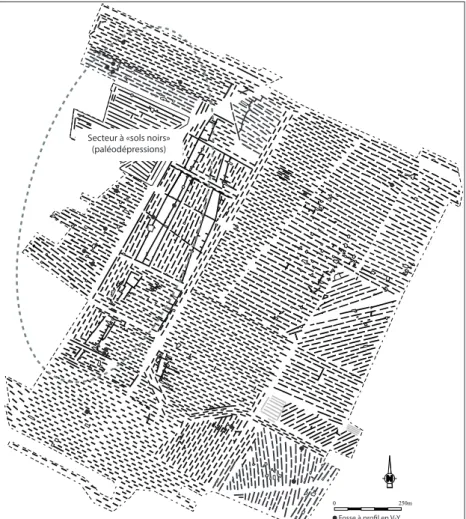 Fig. 4 - Répartition spatiale des fosses à profil  en V-Y mis au jour sur la ZAC de Bezannes