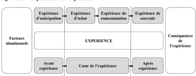 Figure 1.1. – Le processus de l’expérience 
