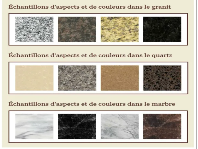 Figure 1.10   Échantillons d'aspects et de couleurs de granit, quartz et marbre  Tirée de http//www.granitevolution.com 