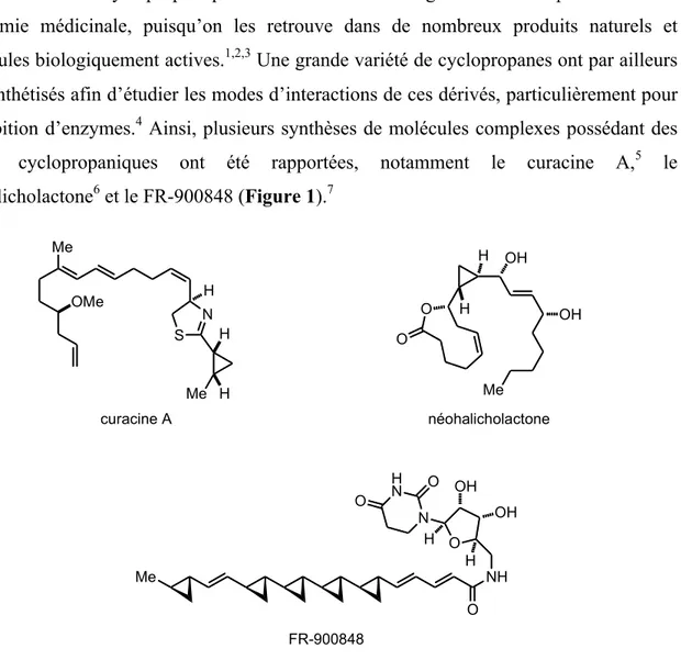 Figure 1. Molécules complexes possédant des unités cyclopropaniques 