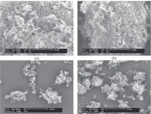 Fig. 11. SEM images of recrystallized LASSBio-294 by quick addition: eﬀect of drying process