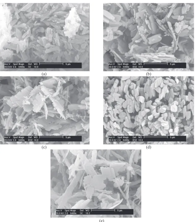 Fig. 9. SEM images of the recrystallized LASSBio-294 by dropwise addition. (a) 40 W, experiment 10); (b) 30 W, experiment 13; (c) 20 W, experiment 14; (d) 10 W, experiment 15 and (e) 0 W, experiment 9 (without ultrasound).