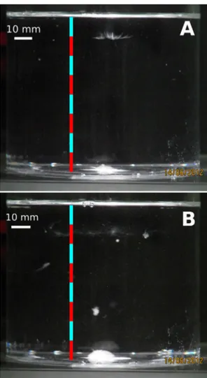 Fig. 6 shows the bubble distributions for larger emitter ampli- ampli-tudes. For U 0 ¼ 5:53 l m, (Fig