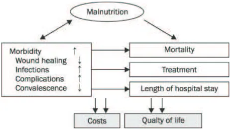Figure 3. Impact de la dénutrition 1 .  