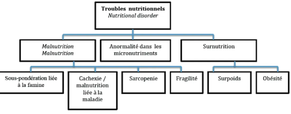 Figure 4. L’arbre conceptuel de la malnutrition 3 .  