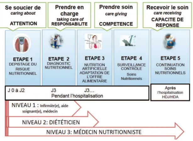Figure 6. L’organisation des soins nutritionnels et le processus du care. 