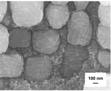 Figure 4. g/g’ microstructure of MC2 alloy after a 150s overheating applied to the as-received microstructure (g’- (g’-phase  appears  in  light  grey)