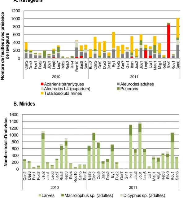 Figure 1 : Variabilité entre parcelles et par année de suivi (2010 et 2011) des occurrences des divers ravageurs  (A) et de l'abondance des mirides (larves et adultes) (B )