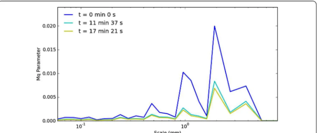 Figure 6 Evolution of Mq as a function of the scale during the whole painting process.