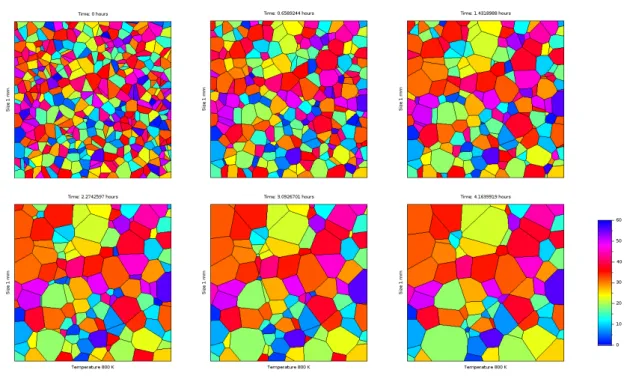 Figure 9 – Grain growth of the OT1 at 800 K during approximatively 4 hours