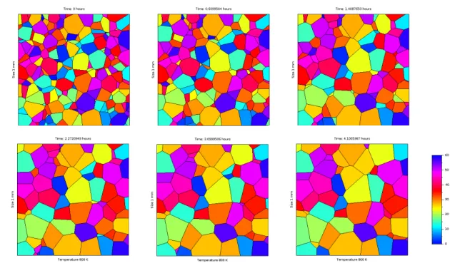 Figure 12 – Grain growth of the OT3 at 800 K during approximatively 4 hours