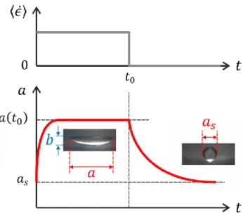 Figure 3: Measurement of bubble deformations. Top: Shear sequence applied to a single bubble