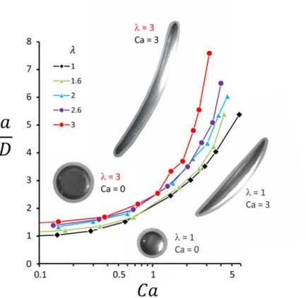 Figure 6: (Inset) Kinetics of the relaxation process for a bubble initially stretched between two plates