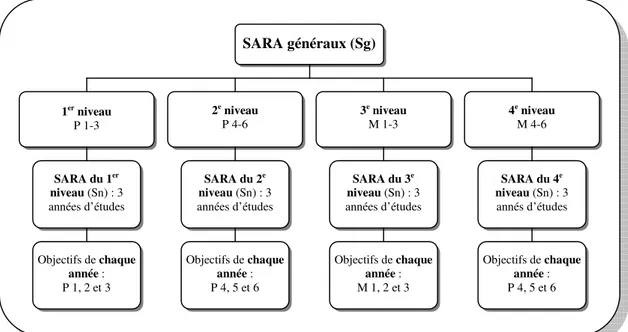 Figure 2 : Sara généraux (Sg) et sara correspondant à un niveau d’études particulier (Sn) 