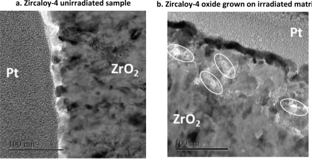 Figure 9 Higher magnification TEM image of : a. oxide formed on an unirradiated Zircaloy-4 sample after 30 days of  corrosion at 350°C ; b