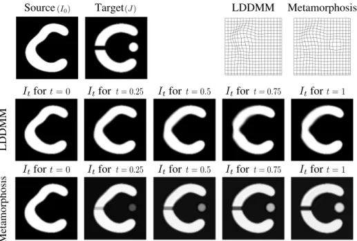 Fig. 2. Comparison of LDDMM vs Metamorphoses registration Top-right fi- fi-nal deformation grids obtained by integrating over all vector fields (v t ) t∈[0,1] 
