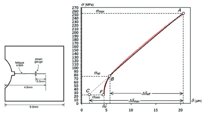 Figure 5. Relationship between applied stress and crack opening displacement measured by a virtual extensometer.