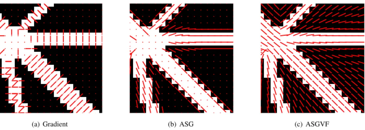 Figure 1: Single orientation vector fields (SOVF): a) image gradient, b) average squared gradient (ASG) [19], c) average squared gradient vector flow (ASGVF) [20].
