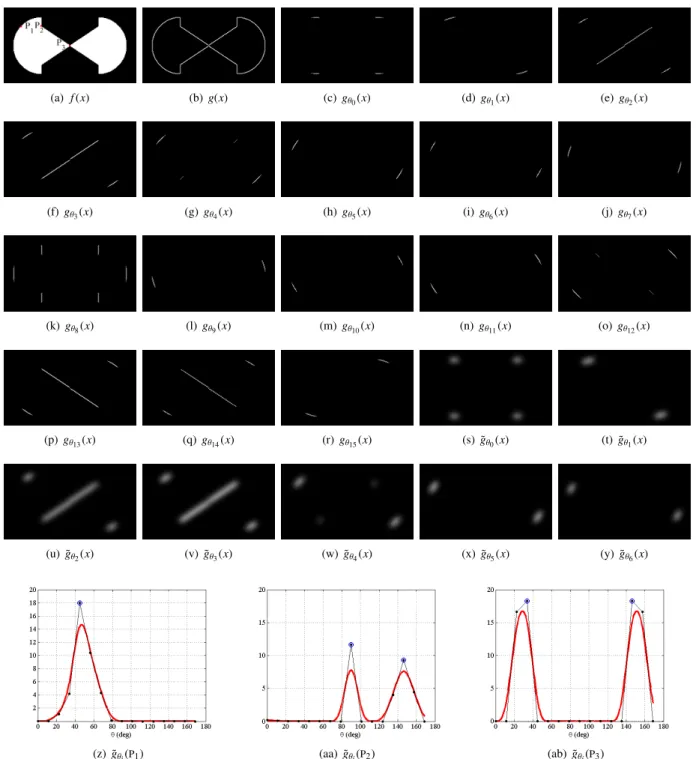 Figure 4: Estimation of the multiple orientation vector field. (a) Input image f (x), (b) contours of the input image given by the absolute value of the gradient, Fig