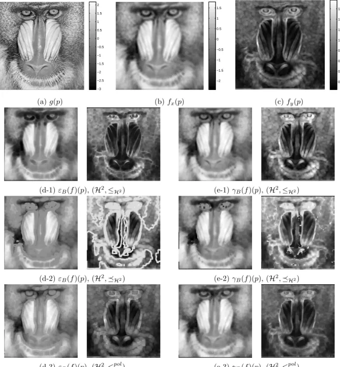 Figure 11: Comparison of morphological erosions and openings of an image f ∈ F(Ω, H 2 ):