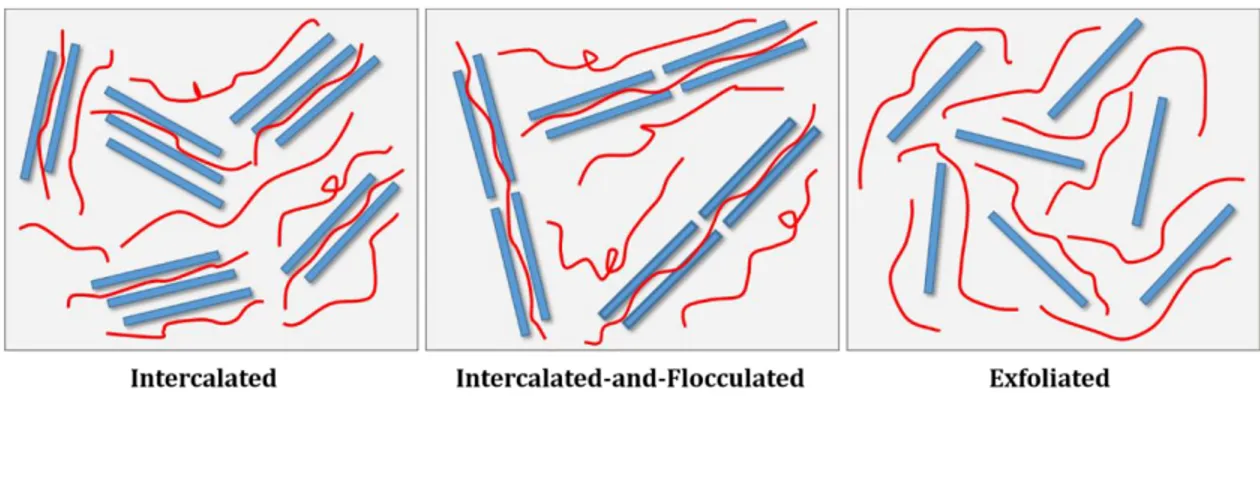Figure 2.4: Schematic representation of possible dispersion states of clay in a typical polymer matrix