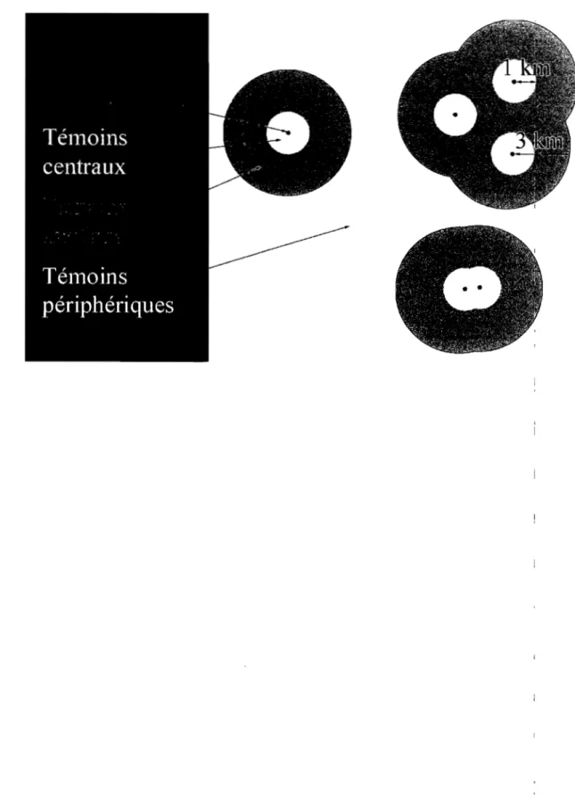 Figure 2  Illustration des espaces utilisés pour la sélection des fennes témoins 