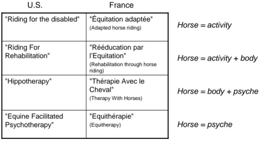 Figure 3: Chronological evolution of EAAs and representations of the horse  