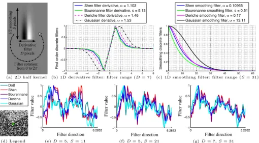 Fig. 3. Decomposition of half kernel (HK) in one dimension. Normalized signals in (e)-(g) represent the filter response (counter-clockwise rotation) of the centered pixel in (d), with D and S the derivative and smoothing parameters (cf