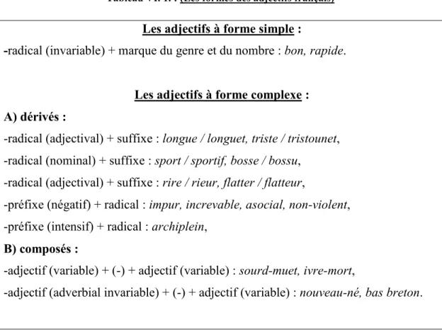 Tableau VI. 1. : (Les formes des adjectifs français) 