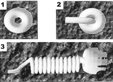 fig. 4: Images obtenues à la suite de la digitalisation des images en microscopie électronique du système d’assemblage du pili type i à partir de la protéine d’ancrage