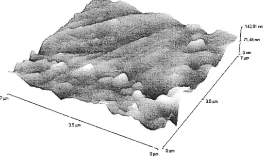 Figure 2.8 . Image type en vue tridimensionnelle de l’acier inoxydable (Avec la permission d ‘El-Khatib, 2001)