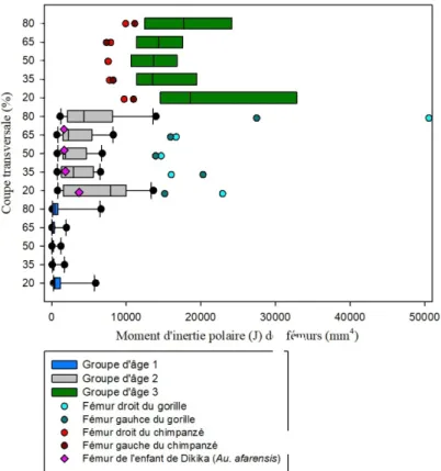 Graphique 5 : Comparaison du moment d'inertie polaire (J) des coupes transversales des  fémurs d'humains, de grands singes et de l'enfant de Dikika avec les groupes d'âge 1, 2 et 3 et  les différentes zones de l'os (20%, 35%, 50%, 65% et 80%)