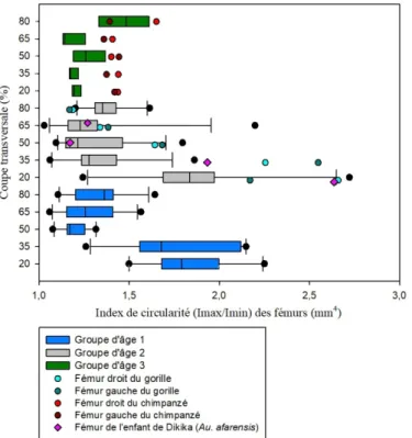 Graphique 6  : Comparaison de l'index de circularité (I max /I min ) des coupes transversales des  fémurs d'humains, de grands singes et de l'enfant de Dikika avec les groupes d'âge 1, 2 et 3 et  les différentes zones de l'os (20%, 35%, 50%, 65% et 80%)