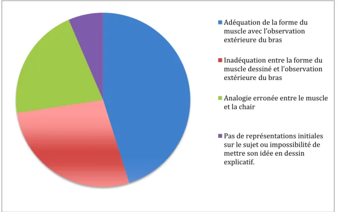 Figure 4 Représentations initiales des élèves sur les muscles. 
