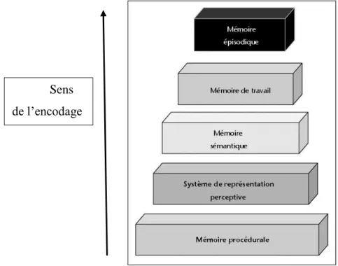 Figure  5.  Représentation  schématique  du  modèle  SPI  (sériel,  parallèle  et  indépendant)  selon  Tulving  (1995)