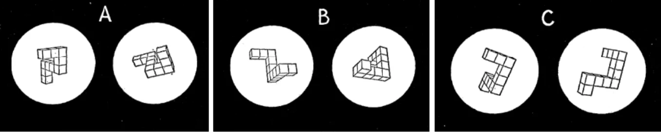 Figure 9. Matériel utilisé lors des expériences réalisées par Shepard et Metzler (1971)