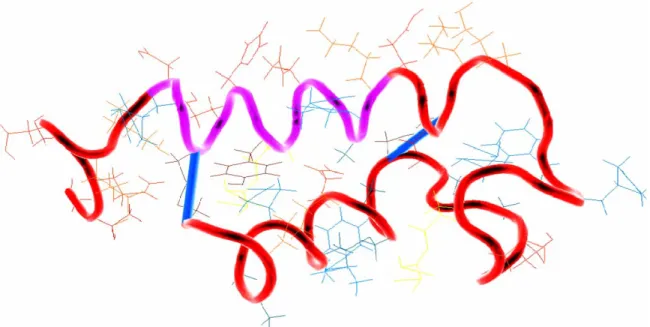 Figure 6: Structure tridimensionnelle de la toxine STb (programme Cn3D tiré de pubmed) 