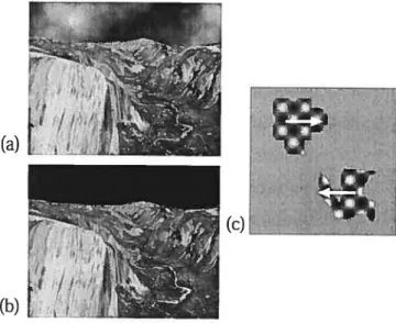 FIG. 1.4 Synthetic sequences.(a) Y0sEMITE WITH SKY (b) Y0sEMITE WITHOUT SKY
