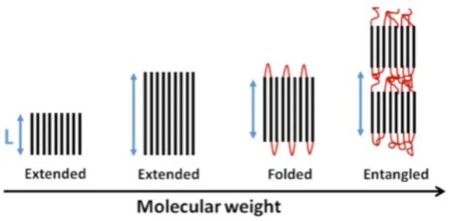 Figure 1.7 – Représentation de la morphologie selon le changement de masse molécu- molécu-laire