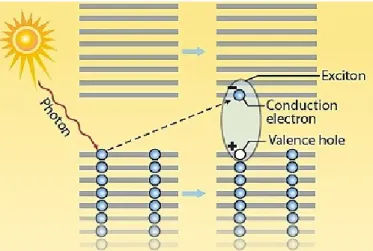 Figure 1.13 – Représentation de la formation d’un exction [70].