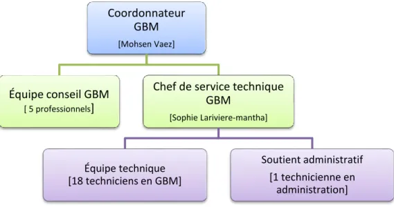 Figure 1 : Organigramme du service GBM a l’hôpital Maisonneuve-Rosemont 