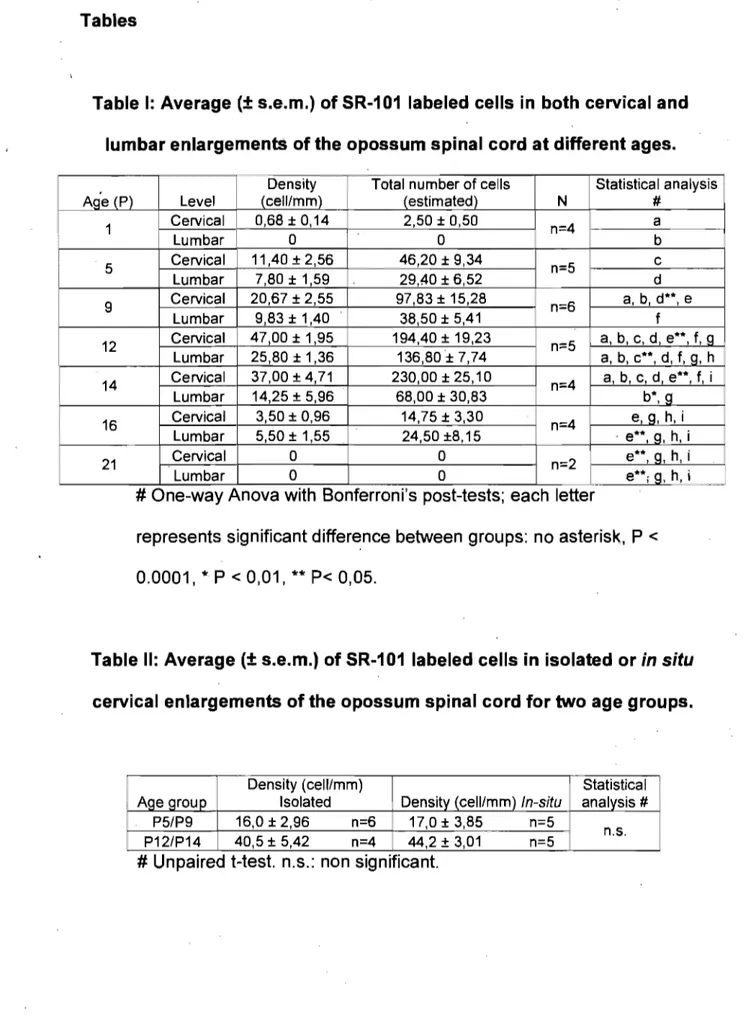 Table 1:  Average  (±  s.e.m.) of  SR-101  labeled ce Ils in both cervical and  lumbar enlargements of the opossum spinal cord at different ages
