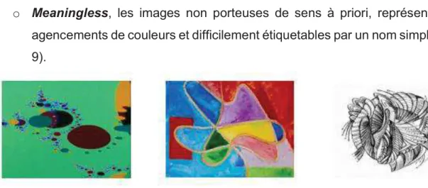 Figure 9 Exemples images Meaningless