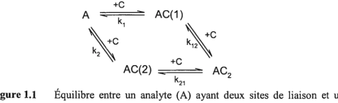 Figure 1.1 Équilibre entre un analyte (A) ayant deux sites de liaison et un agent micellant (C) ayant un site de liaison.
