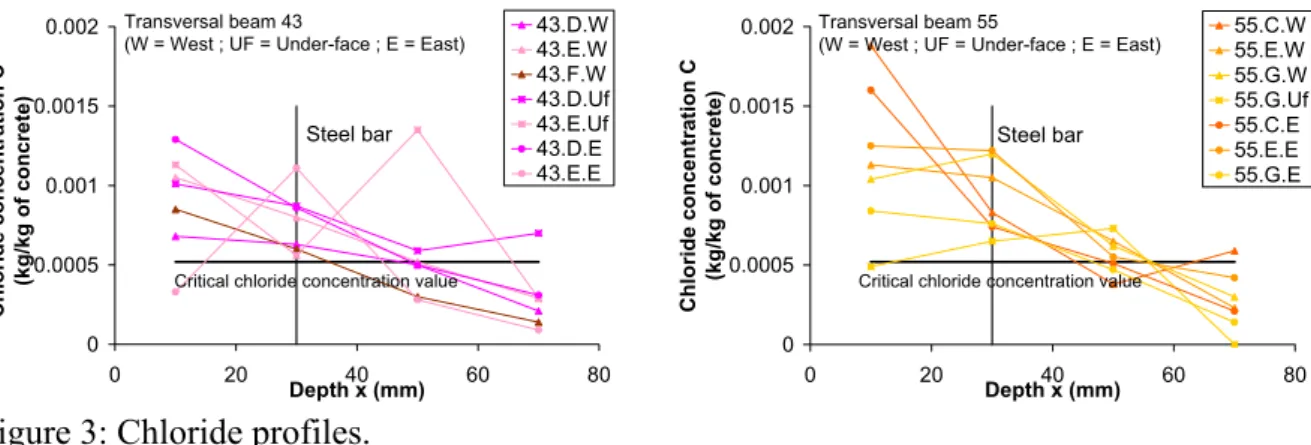 Figure 3: Chloride profiles. 