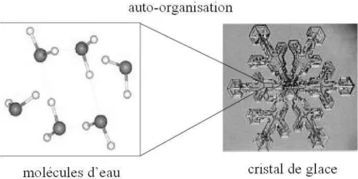 Figure 4  Le phénomène d'auto-organisation. Les propriétés globales du cristal de glace sont  ualitative e t diff e tes des p op i t s lo ales des  ol ules d’eau 